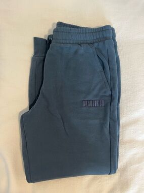Puma Men's Slate Blue Sweatpants Joggers